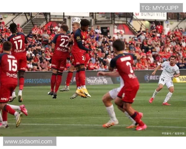 墨尔本城主场迎战惠灵顿凤凰争夺胜利的精彩对决